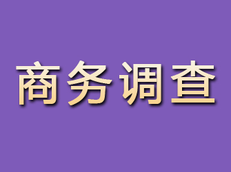 金堂商务调查